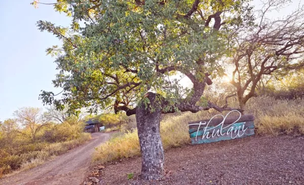 Appreciate the Beauty of the African Bush with a Luxury Midweek Stay