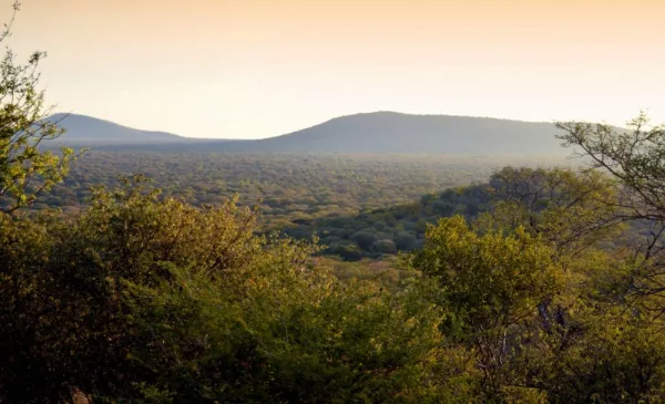 Appreciate the Beauty of the African Bush with a Luxury Midweek Stay - Image 10