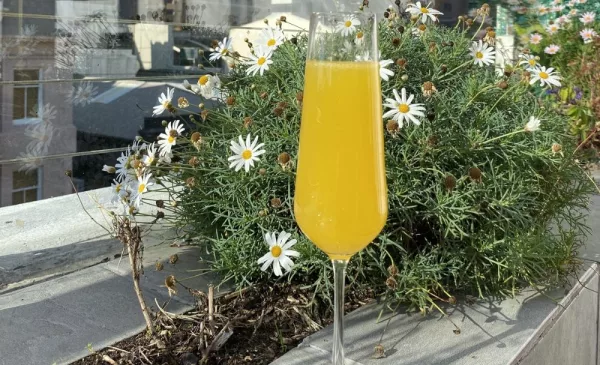 Have a Boozy Brunch at a Rooftop Lounge Overlooking the City - Image 6