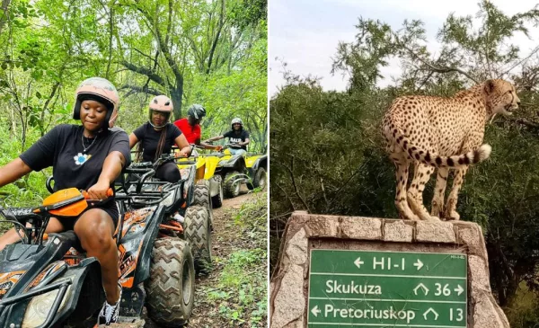Safari adventure package for 1 in Mpumalanga - Image 3