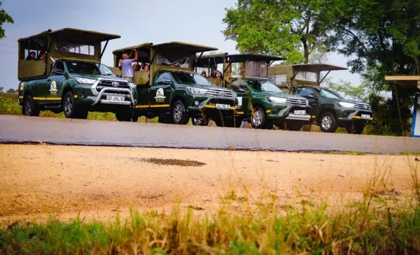 Safari adventure package for 1 in Mpumalanga - Image 4
