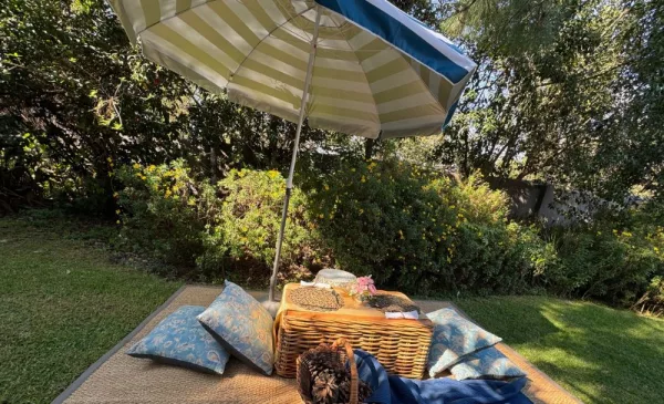 Unwind with a Picnic and Spa Treatment in Kyalami - Image 3
