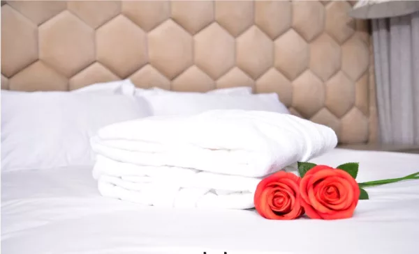 Enjoy a 1-Night Stay at a Luxury Hotel in Midrand - Image 5