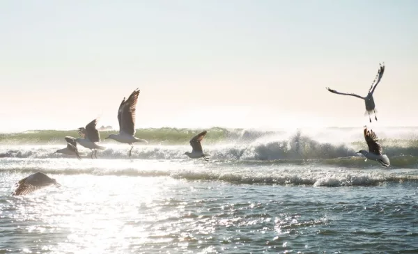 A 1 Night Weekend Stay in a Coastal Guest House - Image 3
