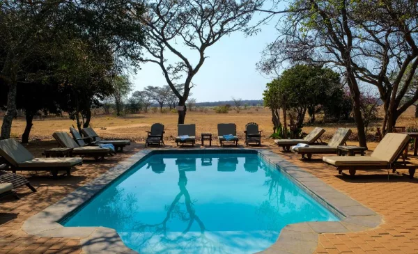 Experience a Luxury Safari Camp in Limpopo - Image 5