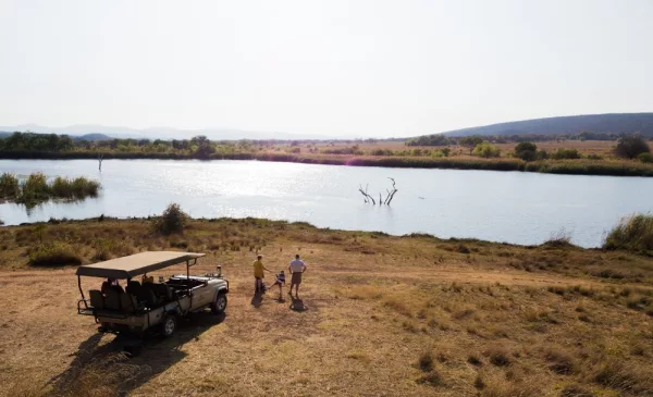 safari