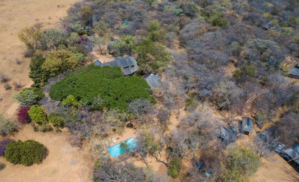 Experience a Luxury Safari Camp in Limpopo - Image 4