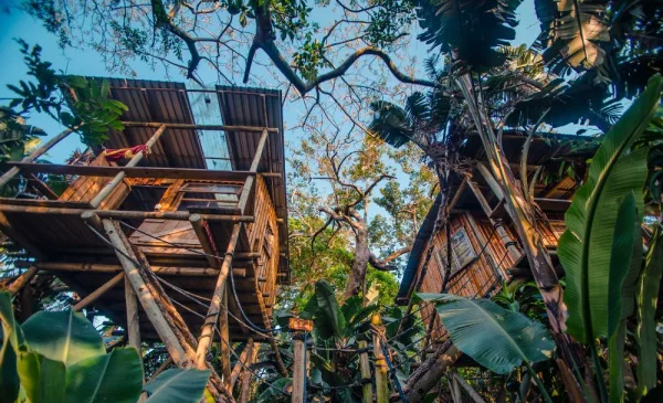 Enjoy A Night in a Breathtaking En Suite Cabin - Image 3