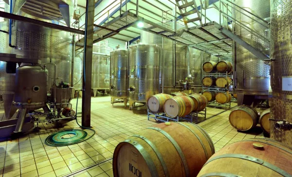 A Wine Tasting at One of SA's Oldest Family-Owned Wine Estates - Image 5