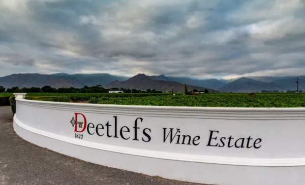 A Wine Tasting at One of SA's Oldest Family-Owned Wine Estates - Image 6