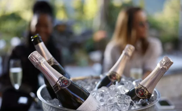 A Wine Tasting at One of SA's Oldest Family-Owned Wine Estates - Image 4
