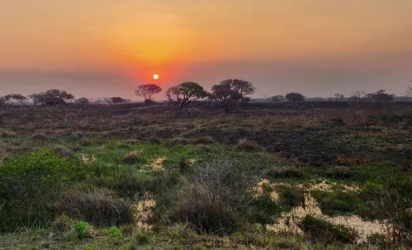 A Picturesque Half Day at iSimangaliso Wetland Park - Image 3