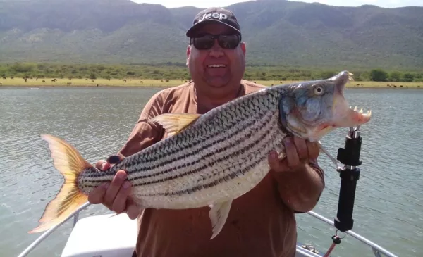 Explore the Magic of Pongola Dam - Image 2