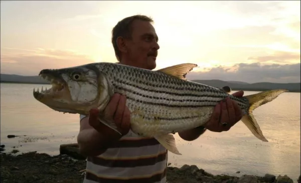 Explore the Magic of Pongola Dam