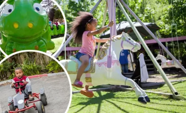 Get Your Little Ones Outdoors with VIP Playpark Passes - Image 2