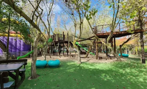 Get Your Little Ones Outdoors with VIP Playpark Passes - Image 4
