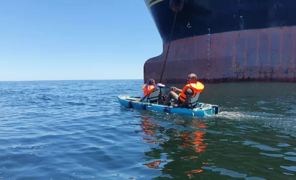 Try a Tranquil E-Kayaking Experience for Two in Cape Town - Image 2