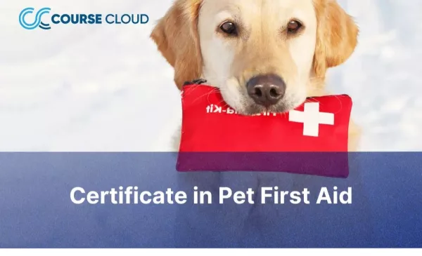 Care for Your Furry Friends with a Certificate in Pet First Aid