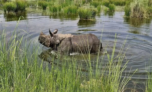Enjoy a Once in a Lifetime Sightseeing Tour in Nepal - Image 2